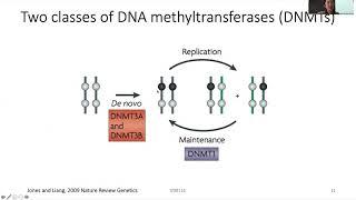 2020 STAT115 Lect12.2 DNA Methylation