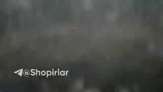 Aka ukalar oqibati