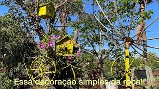 Jardins de roça, muita coisa linda!!