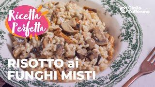 RISOTTO ai FUNGHI MISTI RISULTATO CREMOSO e SAPORITO