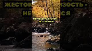 Помни об этомвсегда нужно оставаться человеком