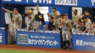 【最終回の締め】岡留登板～試合終了までベンチの様子　2024.09.21 阪神タイガース