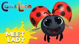 Funny Children Cartoon | Meet Lady! | Cam & Leon | Cartoon for Kids