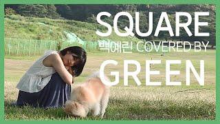 [싱잉그린]  Square 백예린 Coverd by Green | 씨플랜트