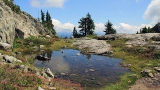 Mt. Seymour Hiking