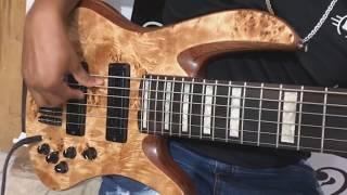 RB CUSTOM EXOTICO  (6 CORDAS) ERIC SOUSA