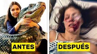 41 Idiotas Que Se Metieron Con Animales Peligrosos y Terminaron Mal