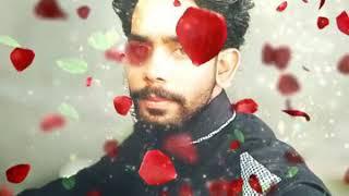 Gulabi Umar Thaheem