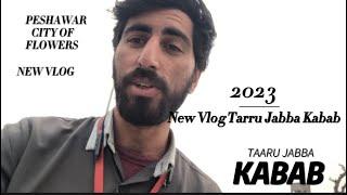 New vlog  Taaru Jabba Kabab | New Vlog |  | Faisal Taimoor| @itsfaisi
