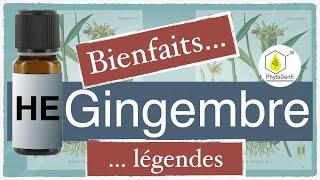 Ginger essential oil, properties and legends....