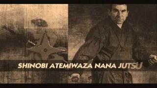 42 JAPAN NINJUTSU: Taiken Jutsu