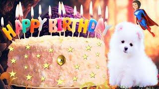 ABILA | HAPPY Birthday Song | Happy Birthday to You | Happy Birthday to You Song | Birthday ABILA