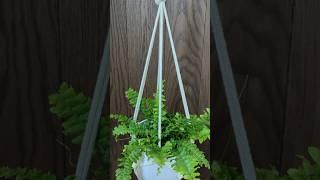 MACRAME PLANT HANGER TUTORIAL