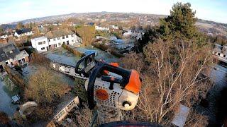 CHARGEMENT RAPIDE  ,  DÉMONTAGE D'UN PEUPLIER , PEU DE PLACE STIHL 261