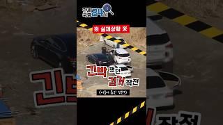 이들이 옮긴 것은?