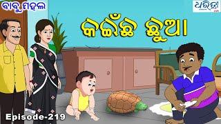 ବାବୁ ମହଲ: କଇଁଛ ଛୁଆ   |  Babu Mahal # 219 : Kaincha Chua