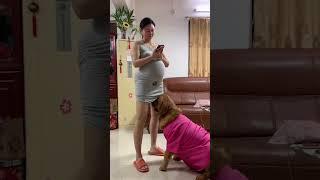 Dear, what are you doing? Cute pet debut plan, record real life, big belly, lucky woman