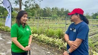 BIG TIME! From FARM to SUPERMARKET ang GULAY Nila + First Time Makikita, SUPER MODERN DAIRY FARM!