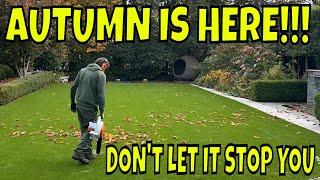 You Can Still Do Summer LAWN TASKS In AUTUMN.