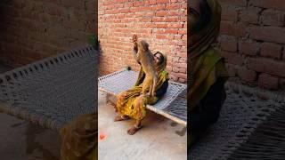 Itni kirpa sanware banaye rakhna #shree_krishna_ringtone #monkeyvideosforkids #monkey