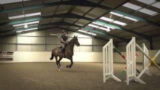 Behind The Scenes of Showjumping - Excelling Under Pressure