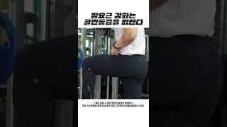 장요근 강화 운동 #shorts