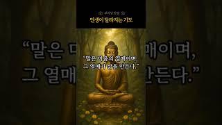 인생이 달라지는 기도, 아침에 이 세 마디만 하세요｜부처님 말씀 | 마음치유 | 하루의시작 | 아침루틴 | 말의힘 | 아침기도