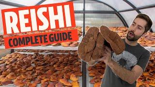 Unlocking The Secrets of The World's Greatest Mushroom (Reishi aka Ganoderma lucidum)