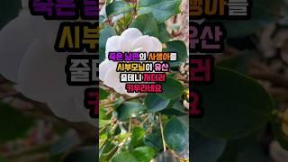 죽은 남편의 사생아를 시부모님이 유산 줄테니 저더러 키우라네요