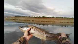 Episode 5 Woolly Bugger the deadly fly for the Twizel Canal