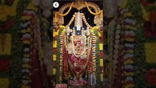 # thirumala thirupati Sri venkateswara swami ## #devotional songs# yt shorts# trending# telugu 