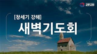 12월 26일(목) 새벽기도회