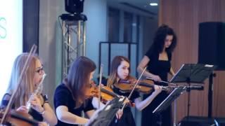 Стильный камерный оркестр chamber orchestra  Заказать оркестр copy