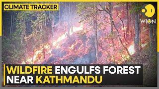 Nepal battles raging Wildfires, temperature rises above 40 degrees in many parts | WION