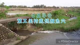 古墓尋奇--葉五美特鳳媽鯉魚穴
