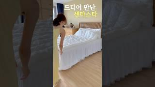 품절 | 100%독일생산 수많은 리뷰가 증명하는 #센타스타️