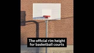 Basketball Rim Height  ... #basketball #shorts