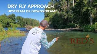 Are You Casting a Dry Fly Correctly? // Upstream vs. Downstream Casting Strategies