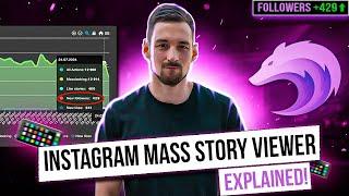 Instagram Mass Story Viewer Explained - Wolfgrowth Review 2024