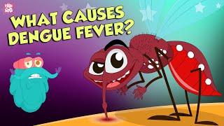 What Causes Dengue Fever? | DENGUE | The Dr Binocs Show | Peekaboo Kidz