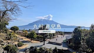 鹿兒島獨旅、旅:櫻島&仙嚴園、行:國內線飛機、觀光巴士、路面電鐵、船、食:迴轉壽司、鹿兒島黑豬。Solo travel in Kagoshima