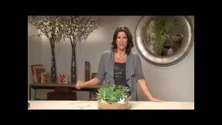 Plant Designs  Modern Terrariums | flower arrangements  Iris Rosin