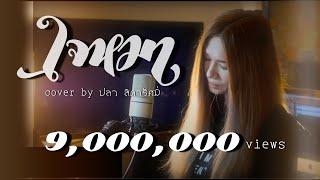 ใจหมา : วง ทีที cover by ปลา สิดารัศมิ์