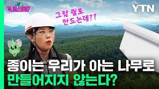 나무 농장이라고 들어는 봤나? 조림지가 뭐야? [쥐니어스방위대] EP.6