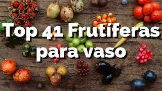 Top 41 Árvores Frutíferas para Vasos PRODUZ FÁCIL!