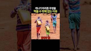 케냐가 마라톤 무쌍을 찍을 수 밖에 없는 이유 ㄷㄷ