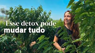 6 passos para você ter um detox em sua vida