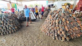 ABACAXI DE 1 REAL E COM FARTURA SÓ NO NORDESTE!