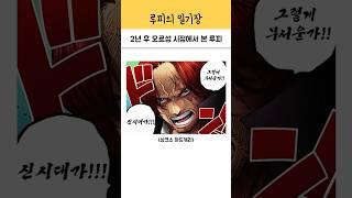 2년 후 오로성 시점에서 본 루피 ㅋㅋ