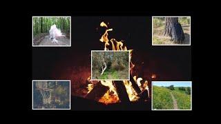 A Collection of Strange & Spooky Campfire Stories - July 2021